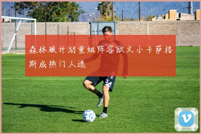 森林狼计划重组阵容欧文小卡萨格斯成热门人选
