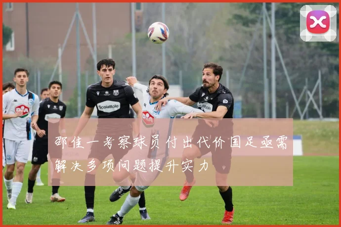 邵佳一考察球员付出代价国足亟需解决多项问题提升实力