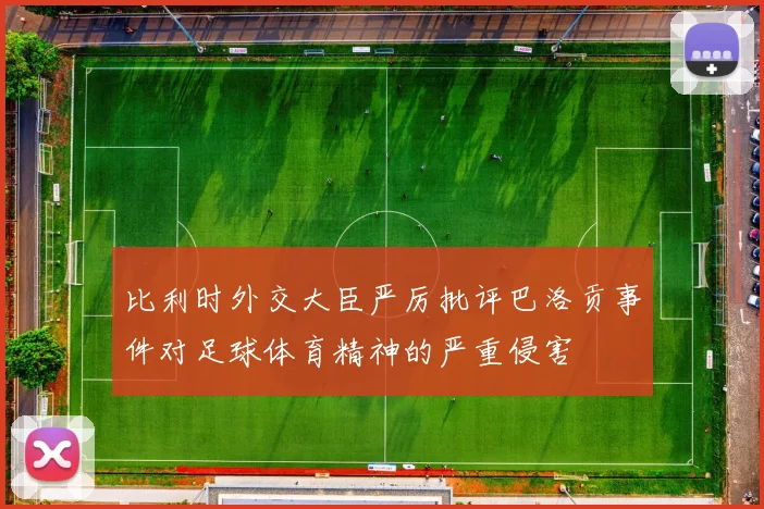 比利时外交大臣严厉批评巴洛贡事件对足球体育精神的严重侵害